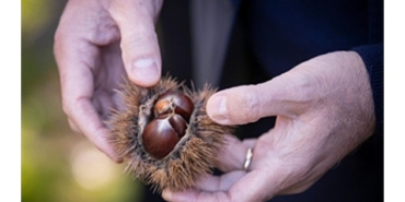 baskan-tugay-beydagda-kestane-ureticileri-ile-bir-araya-geldi