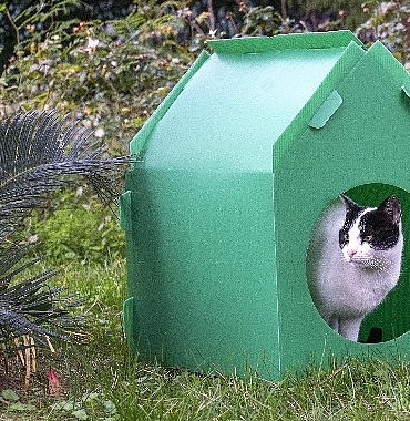 baskan-tugay-soz-verdi-kediler-sicak-yuvalarina-kavustu