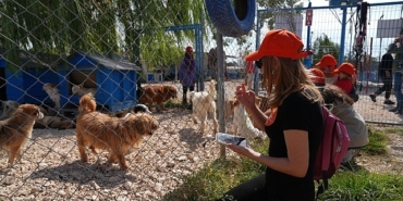 borusan-pati-elcilerinden-sokaga-terk-edilmis-can-dostlara-mama-koruyucu-aile-ve-sahiplendirme-destegi