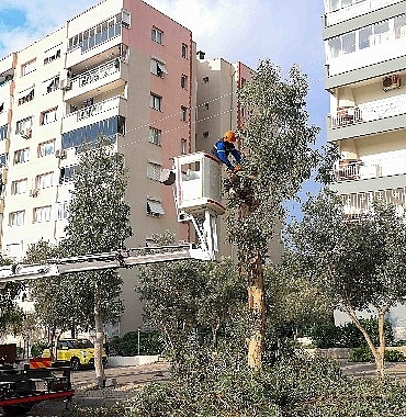 bucada-budama-seferberligi