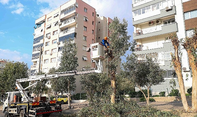 bucada-budama-seferberligi