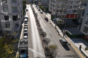 bucanin-refujleri-yenileniyor