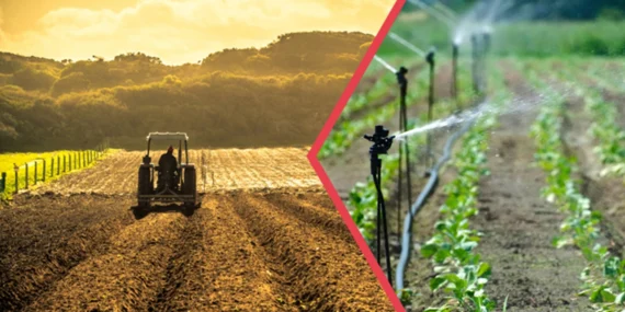 Tarımsal desteklerle ilgili Tarım Bakanlığından açıklama