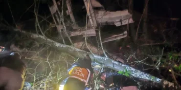 duzce-de-tomruk-yuklu-tir-ucuruma-yuvarlandi-1765692598-494_large