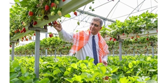 İzmir Büyükşehir Belediyesi üreticiye desteğini sürdürdü