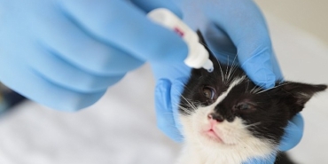 konak-can-dostlarinin-yaninda